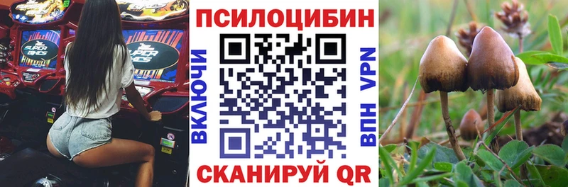 Купить закладки  Луга  Галлюциногенные грибы ЛСД 